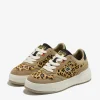 D.franklin sneakers dfsh321099 leopar