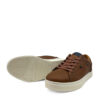WRANGLER - 20253001 tortoise