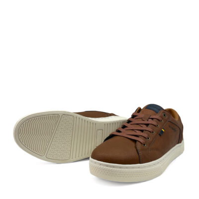 WRANGLER - 20253001 tortoise