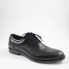 antonio oxfords sx14